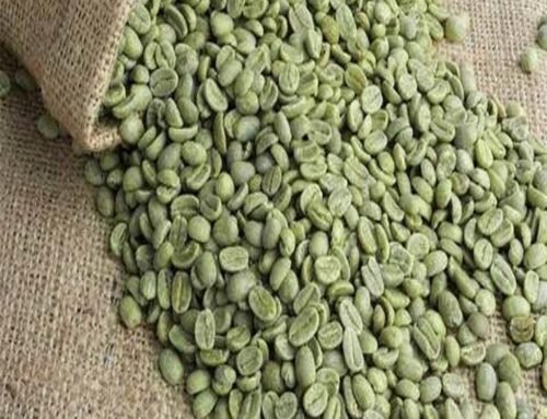 Coffee Green Beans
